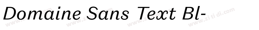 Domaine Sans Text Bl字体转换